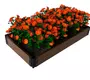 Nabor-2h-nizkih-gryadok-iz-dpk-3-640x427