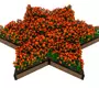 Nabor-2h-nizkih-gryadok-iz-dpk-7-640x427