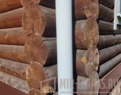 1 (10)