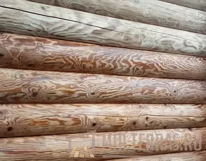 1 (50)