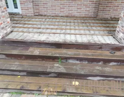 1 (38)
