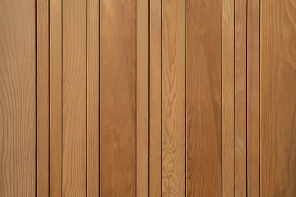 rz_p_1