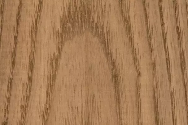 mf_ty1_3