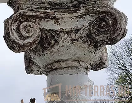 Do-i-process-restavracii-23