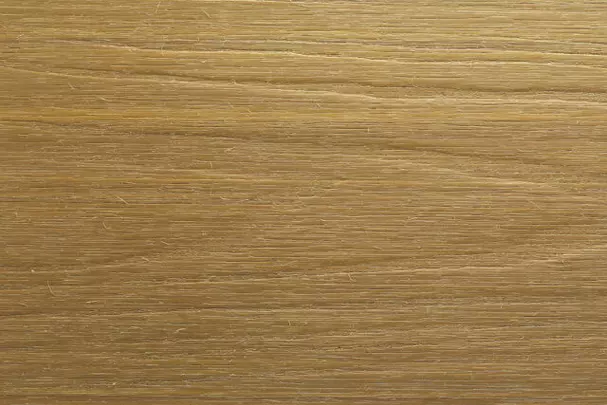 color-Maple-640x470